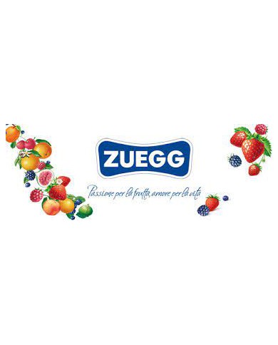 Succo di Frutta Zuegg Bar cl. 20 Succo di Frutta Zuegg Bar cl. 20