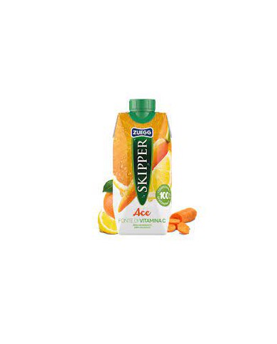Succhi di Frutta Skipper brick cl.33