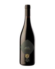 Pian delle Vigne Brunello di Montalcino DOCG Pian delle Vigne Brunello di Montalcino DOCG