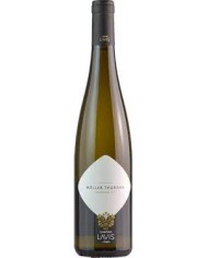 Lavis Gewurztraminer D.O.C. Lavis Gewurztraminer D.O.C.
